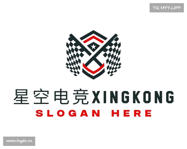 了解星空电竞xingkong